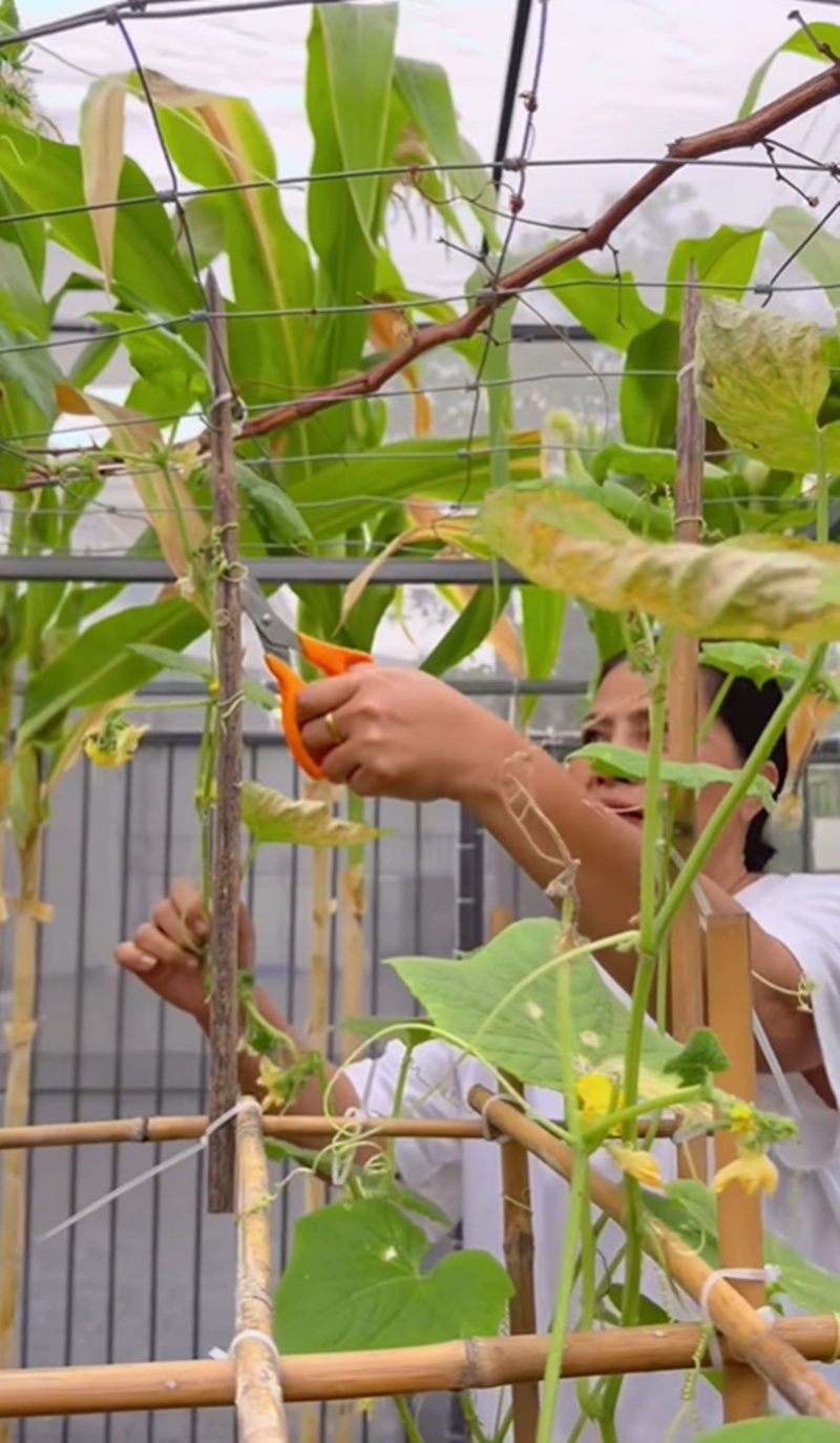 สุนารี ราชสีมา