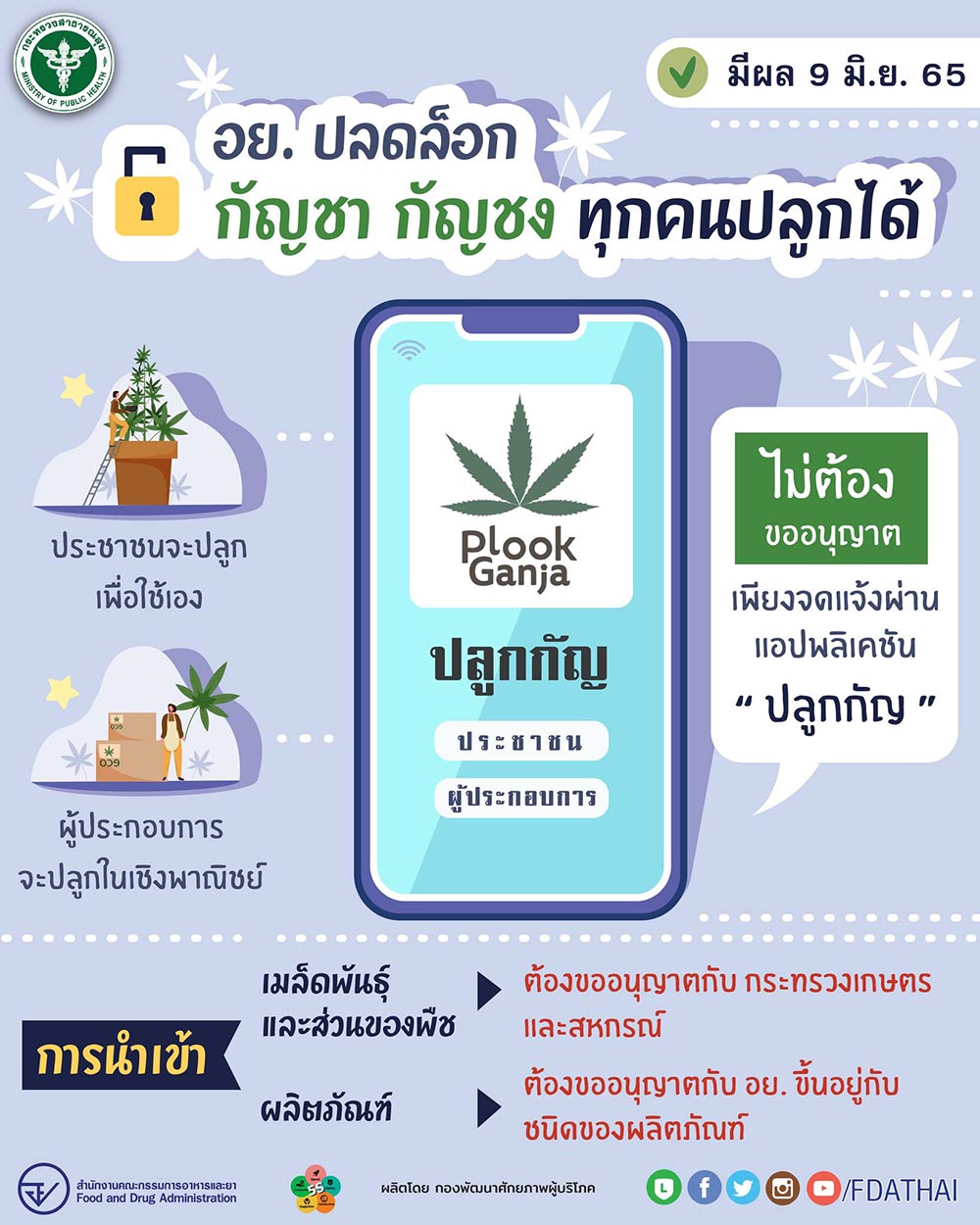 อย. ปลดล็อก กัญชา กัญชง ทุกคนปลูกได้