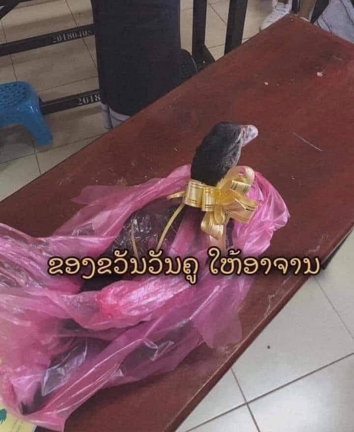 ให้ของขวัญครู