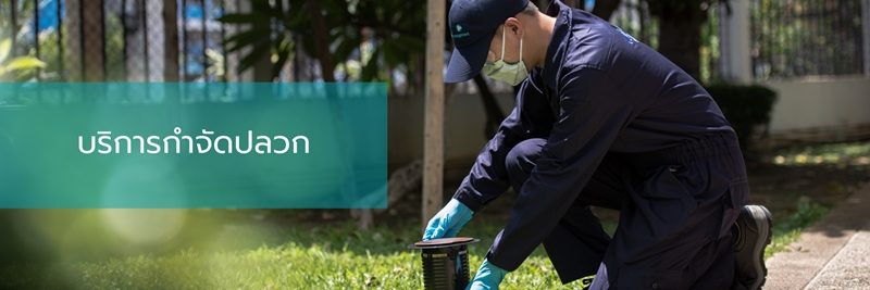 บริษัทกำจัดปลวก Cannon Pest Management