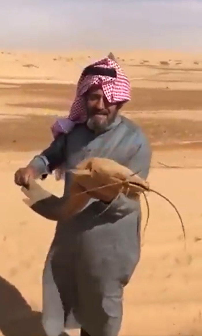 จับปลาดุก