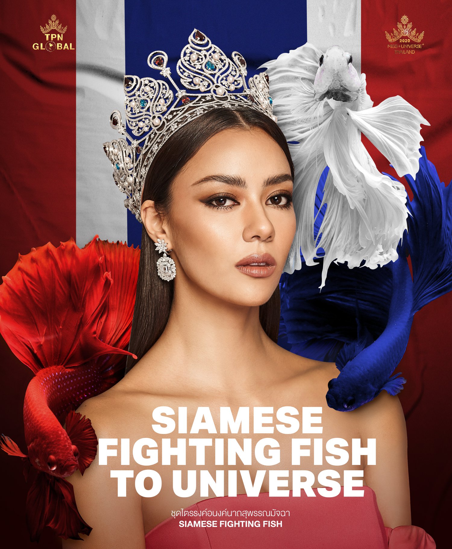 ดราม่าชุดปลากัดลาว