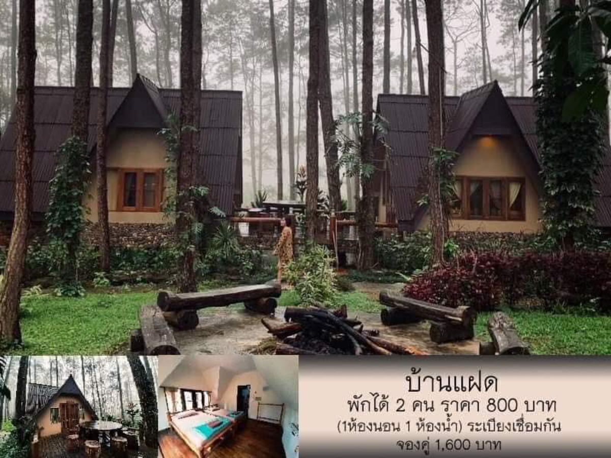 สวนป่าดอยบ่อหลวง เชียงใหม่