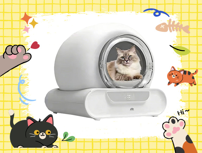 ห้องน้ำแมวอัจฉริยะ น่าซื้อ 2569