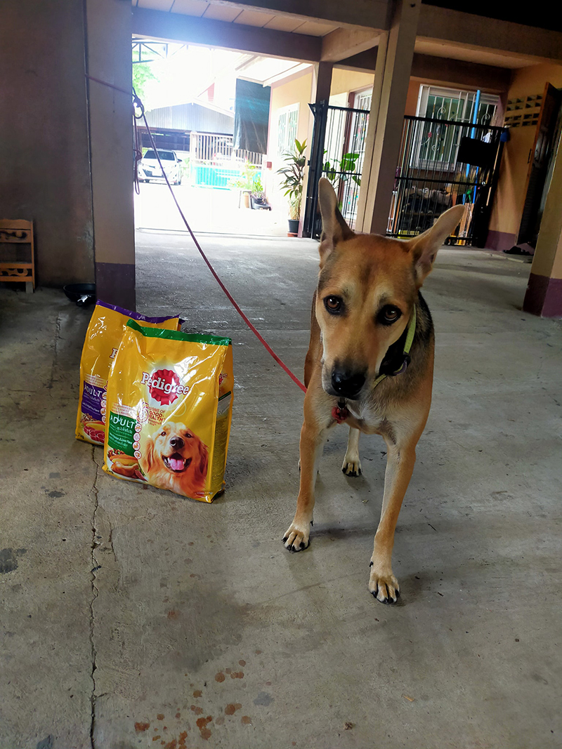 ดิว อริสรา