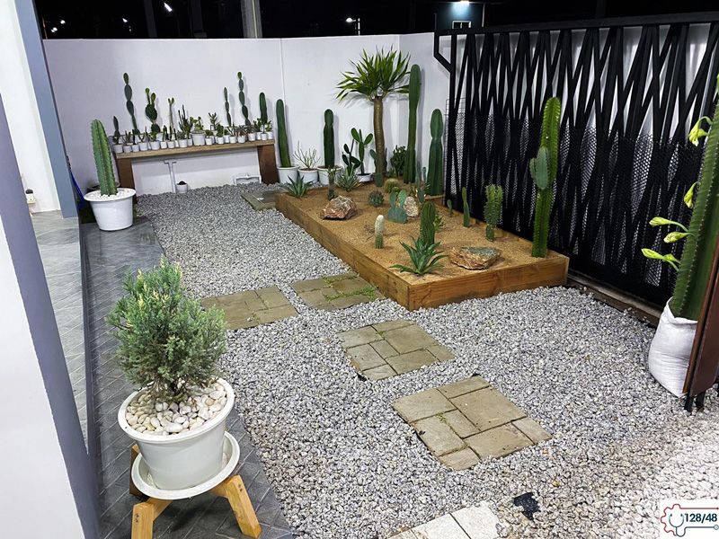 จัดสวนทะเลทรายหน้าบ้าน