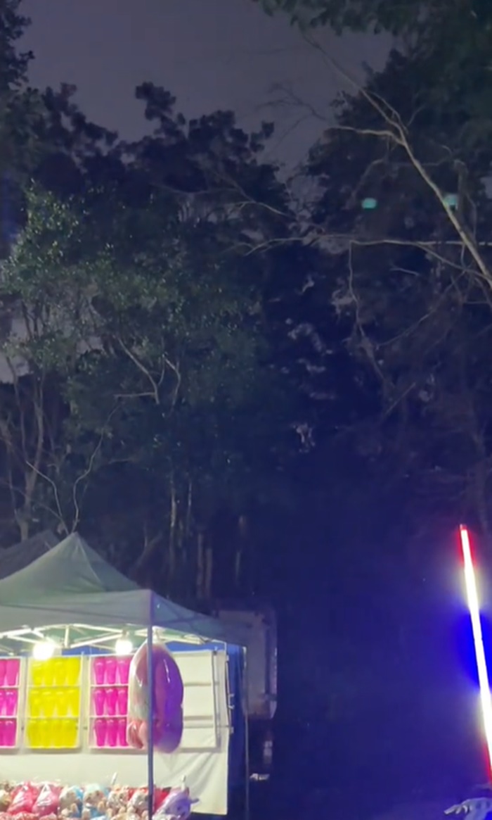 งานวัดป่า