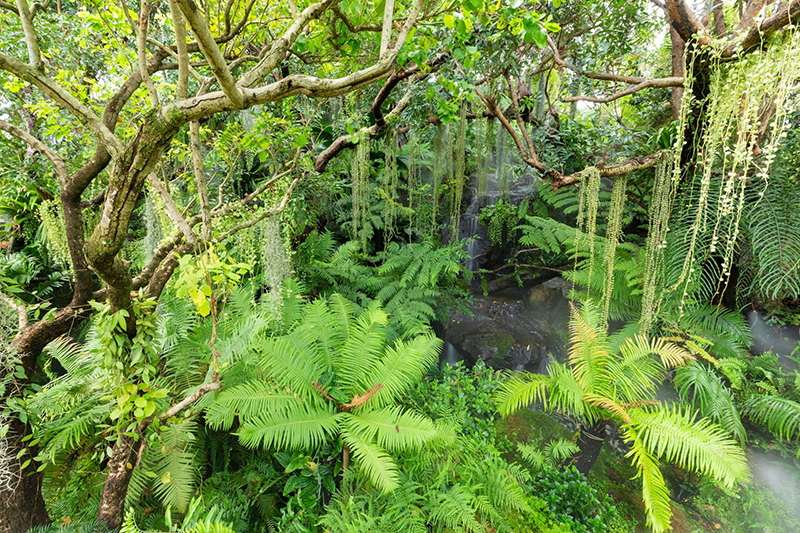 ร้านกาแฟศรีราชา