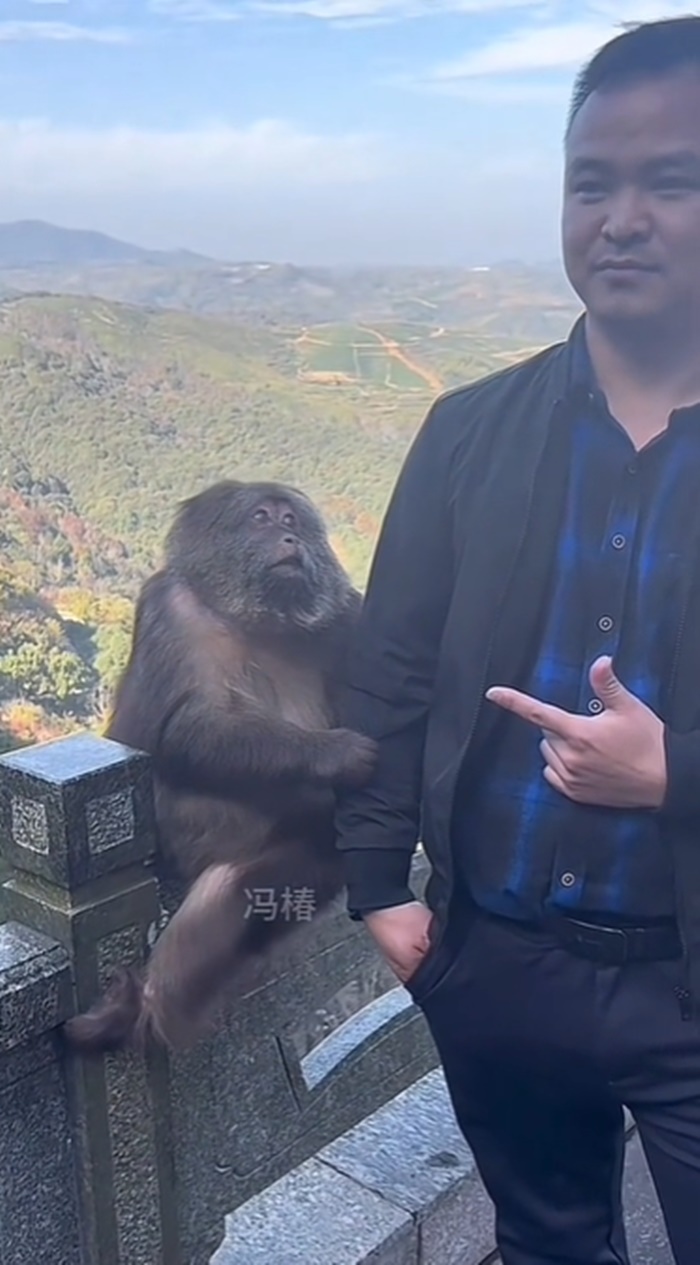 ลิงแกล้งคน