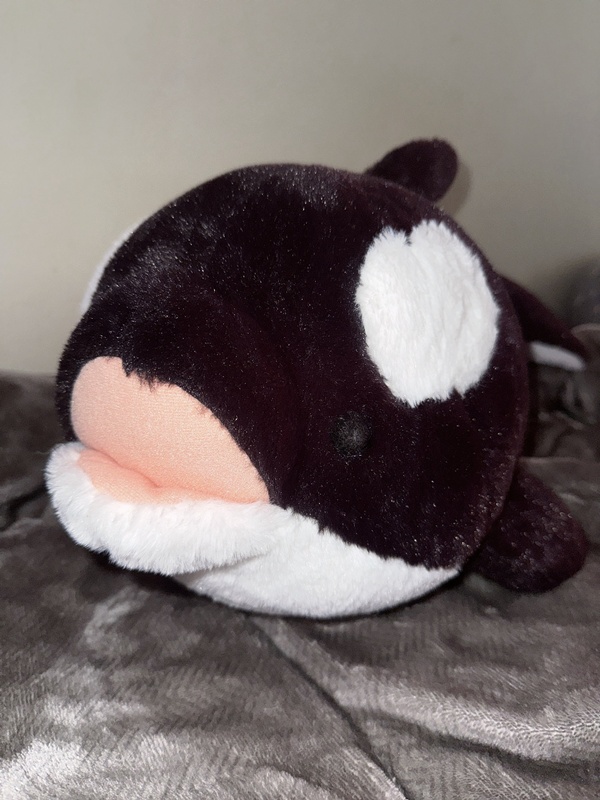 มิโซระ ซุย