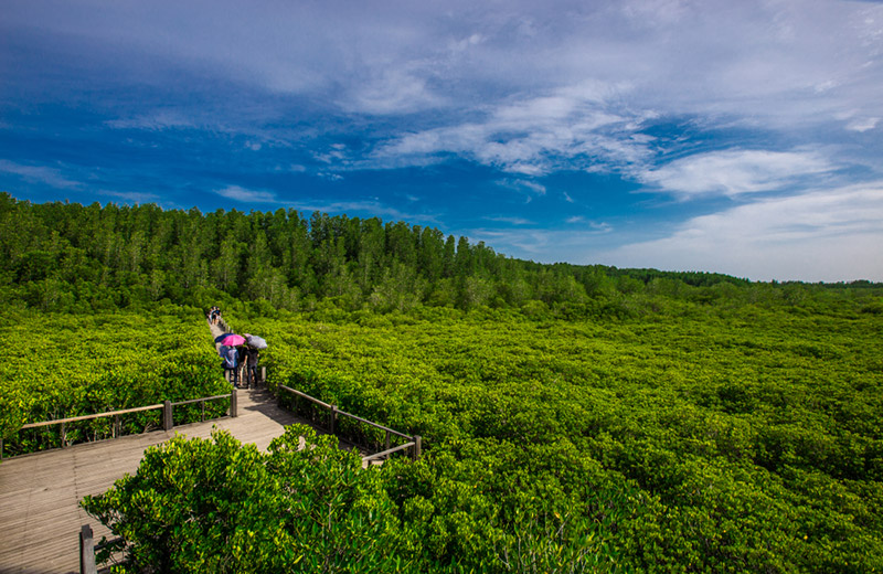 ที่เที่ยววันแม่