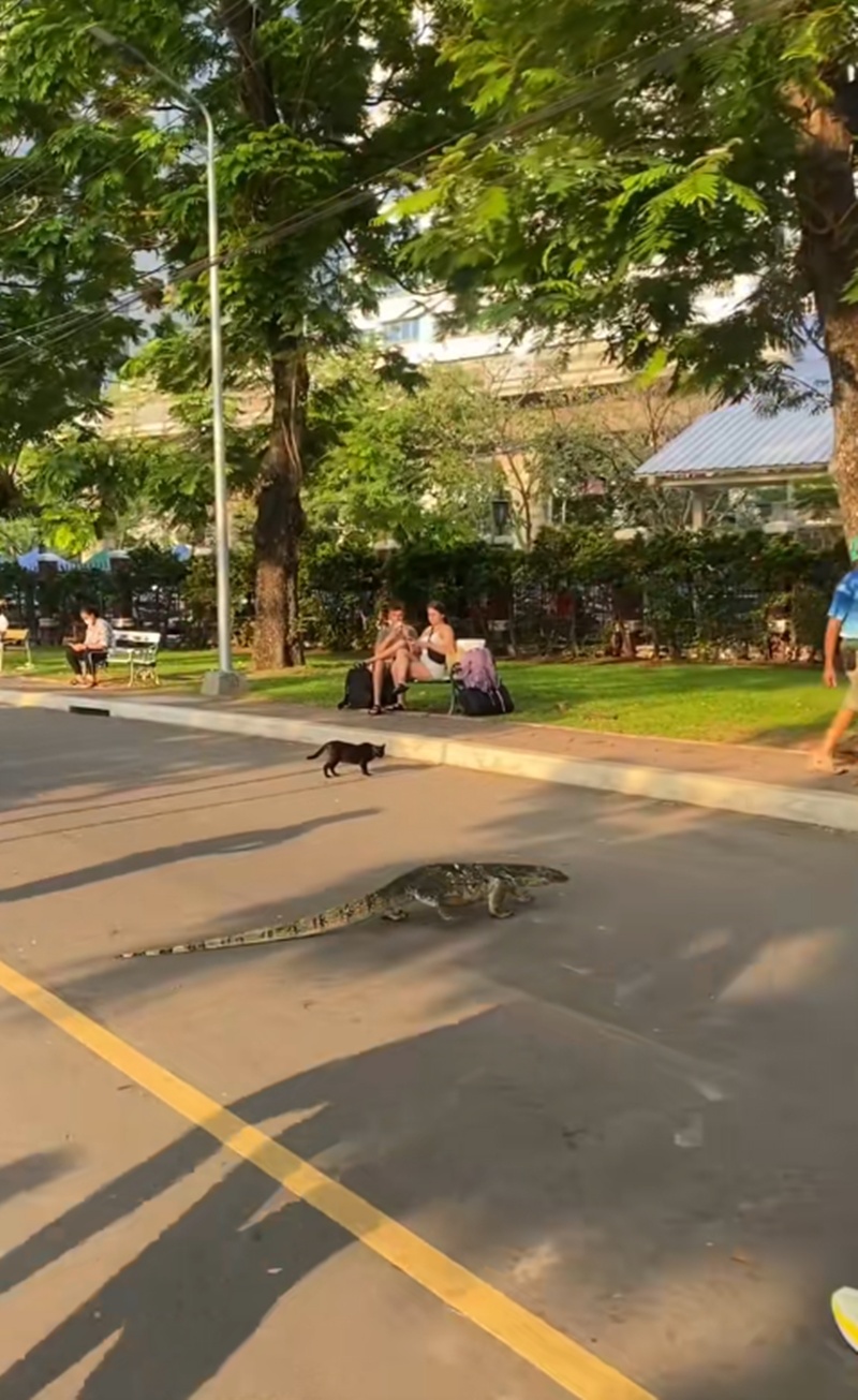 สวนลุมพินี