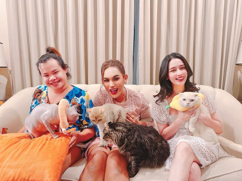 โม อมีนา แอนนา ฮิปโป