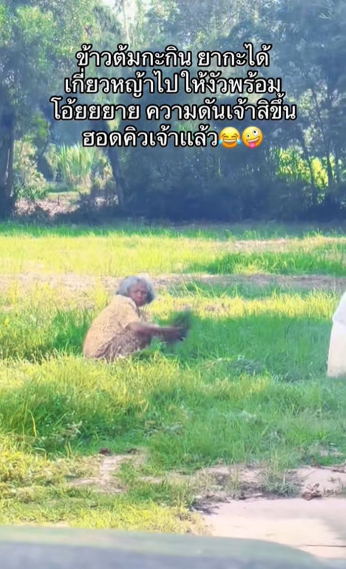 เกี่ยวหญ้า