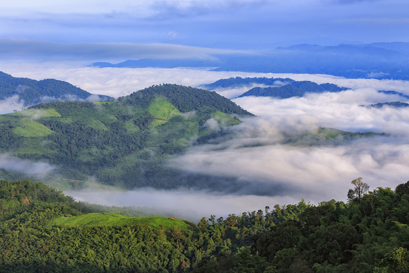 ดอยในเชียงราย