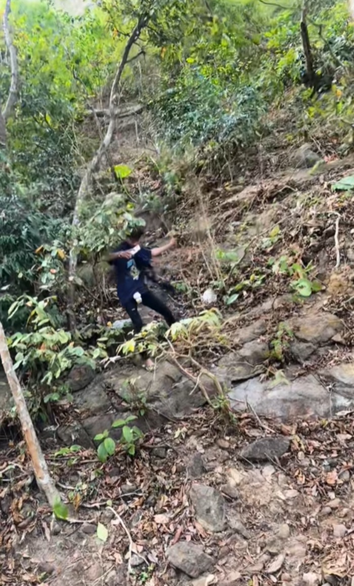 ลิงขโมย