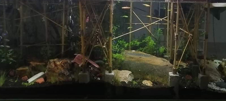 ตู้ปลาสวยๆ