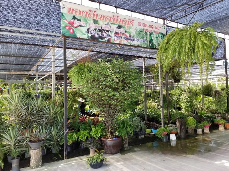 ตลาดต้นไม้