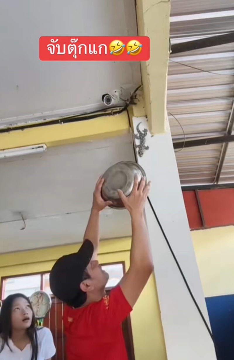 จับตุ๊กแก