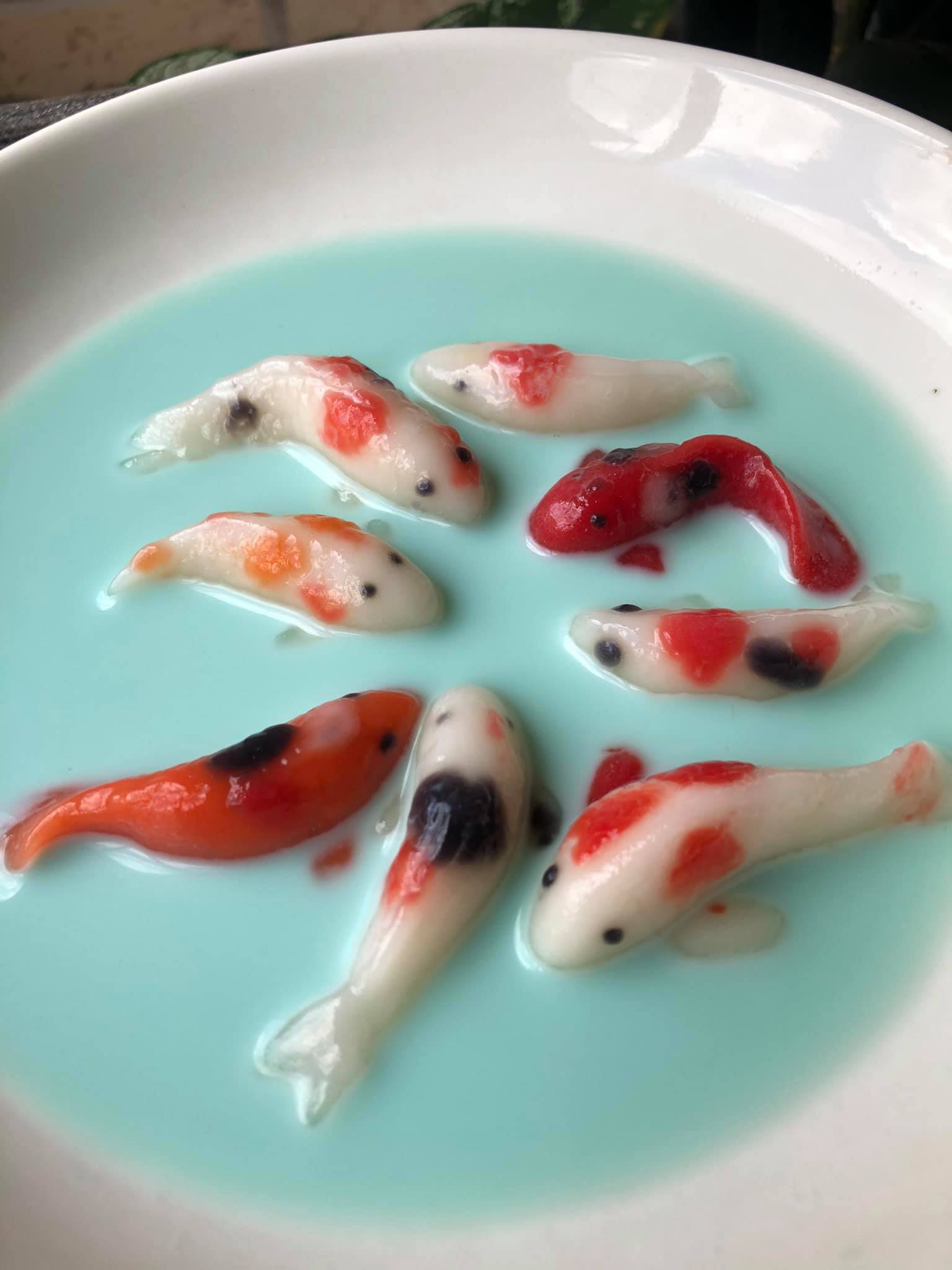 บัวลอยปลาคาร์พ
