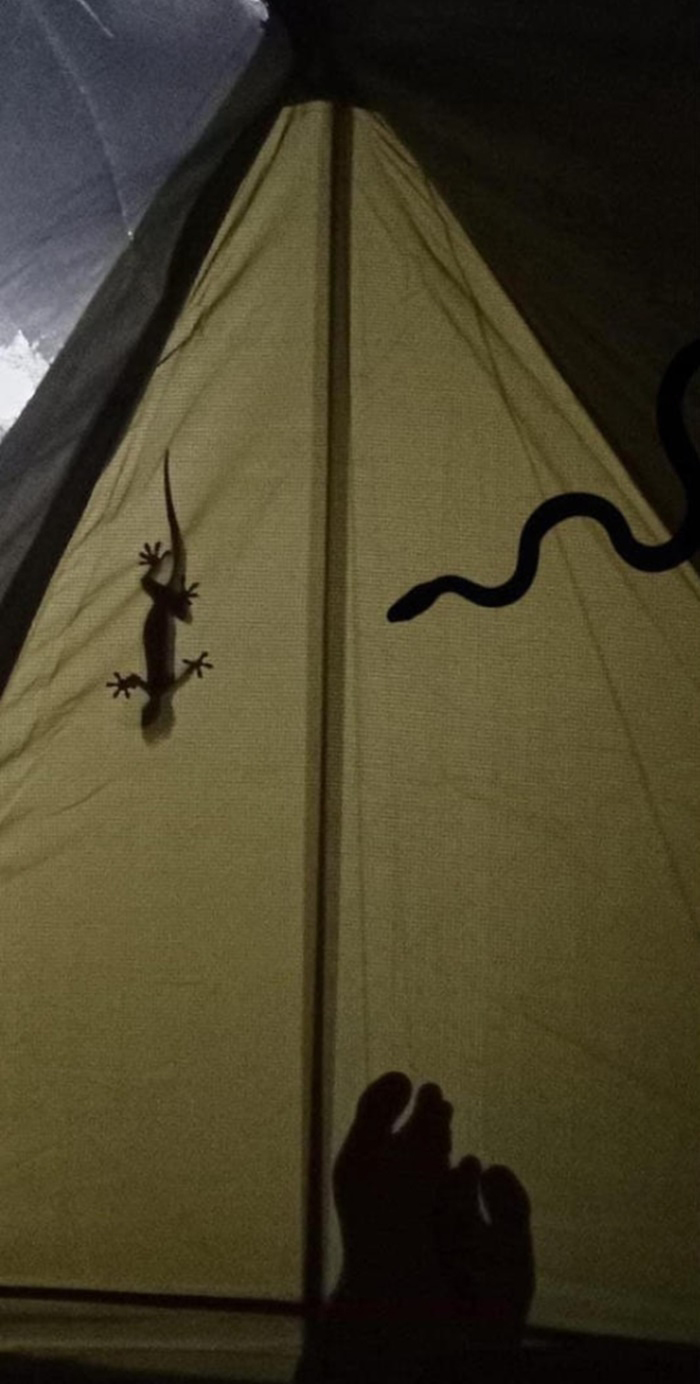 นอนเต็นท์