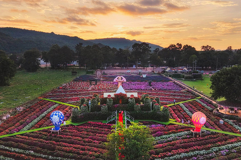 สวนดอกไม้เขาใหญ่ 2569
