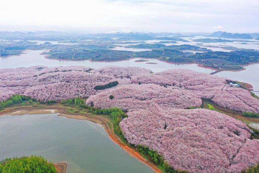 เกาะสีชมพู