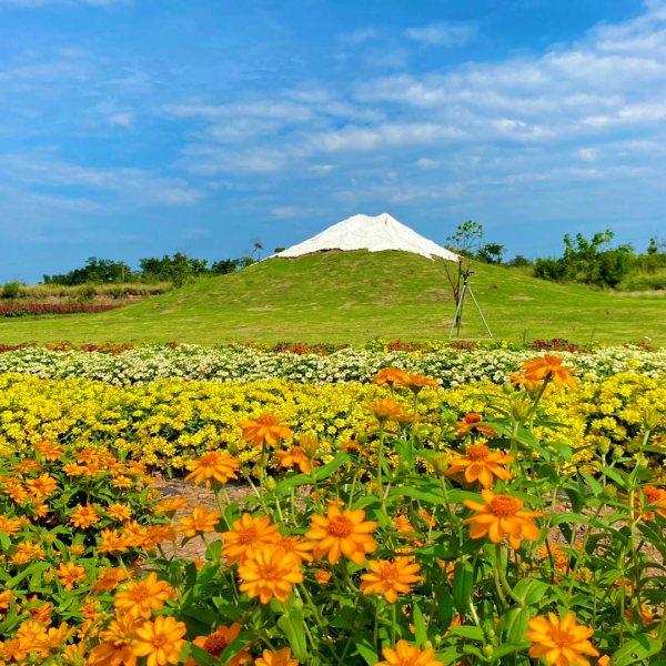 Tokyo Farm สวนดอกไม้เขาใหญ่
