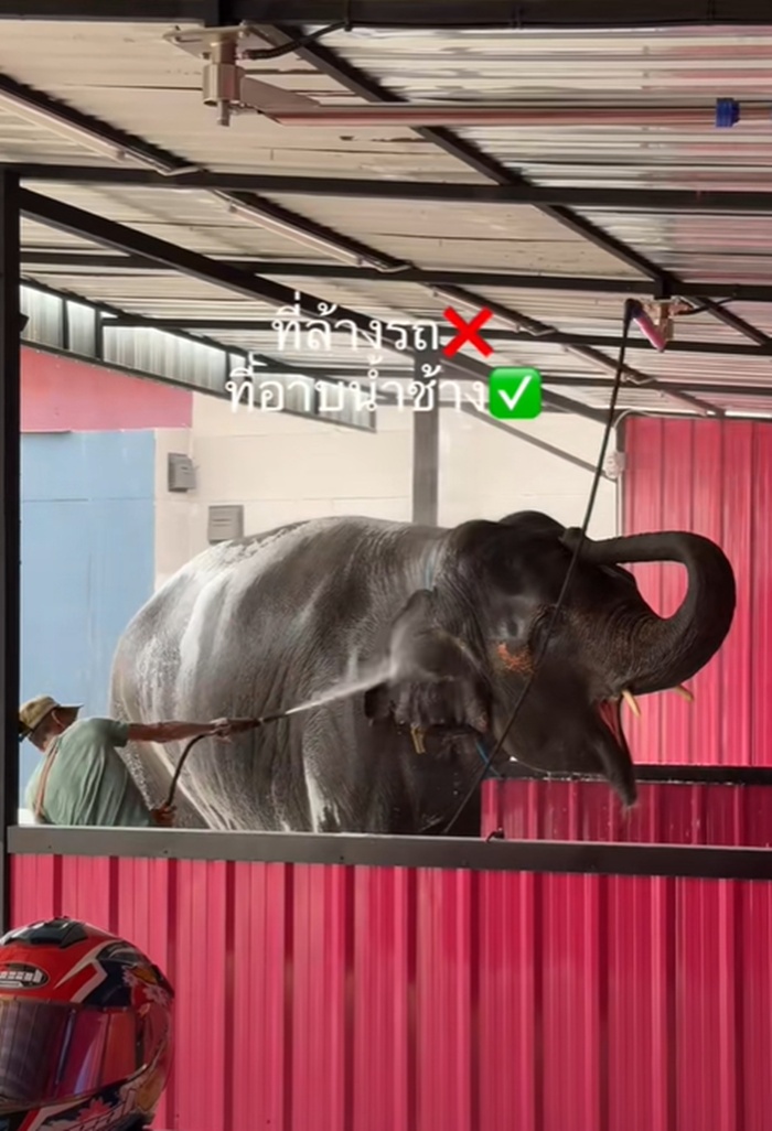 อาบน้ำช้าง