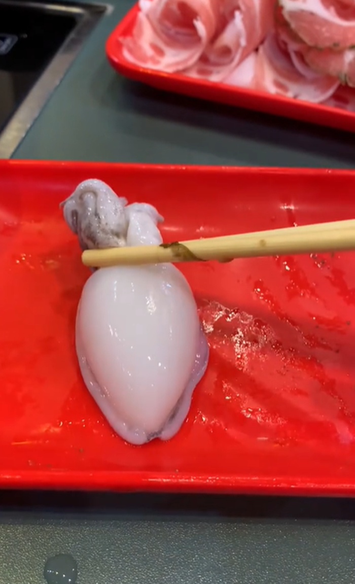 ปลาหมึก