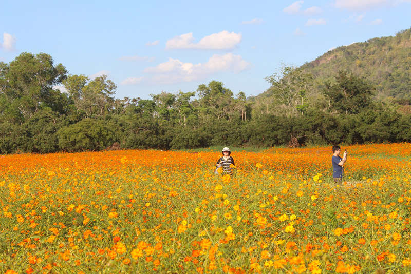 ที่เที่ยวเดือนธันวาคม