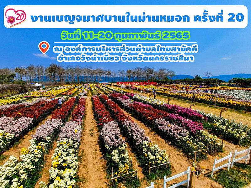 ที่เที่ยวเดือนกุมภาพันธ์ 65