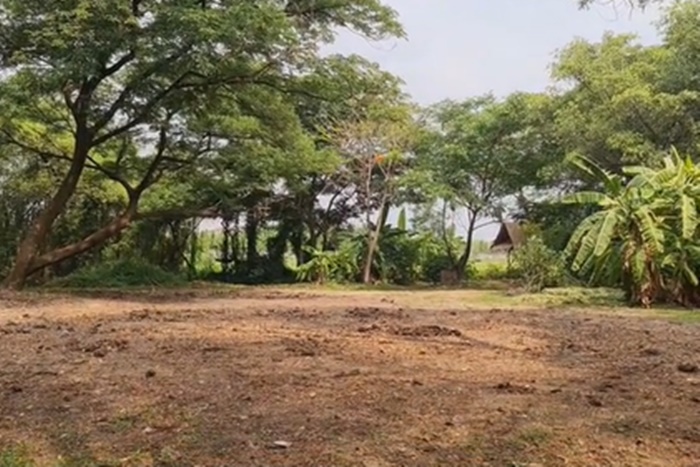 พรหมลิขิต