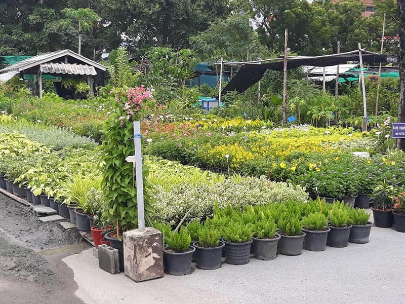 ตลาดต้นไม้