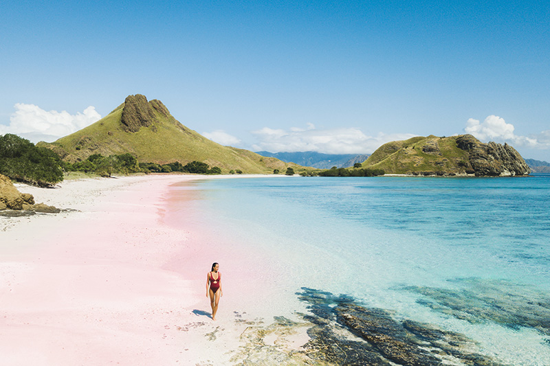 เกาะปาดาร์ Padar Island อินโดนีเซีย