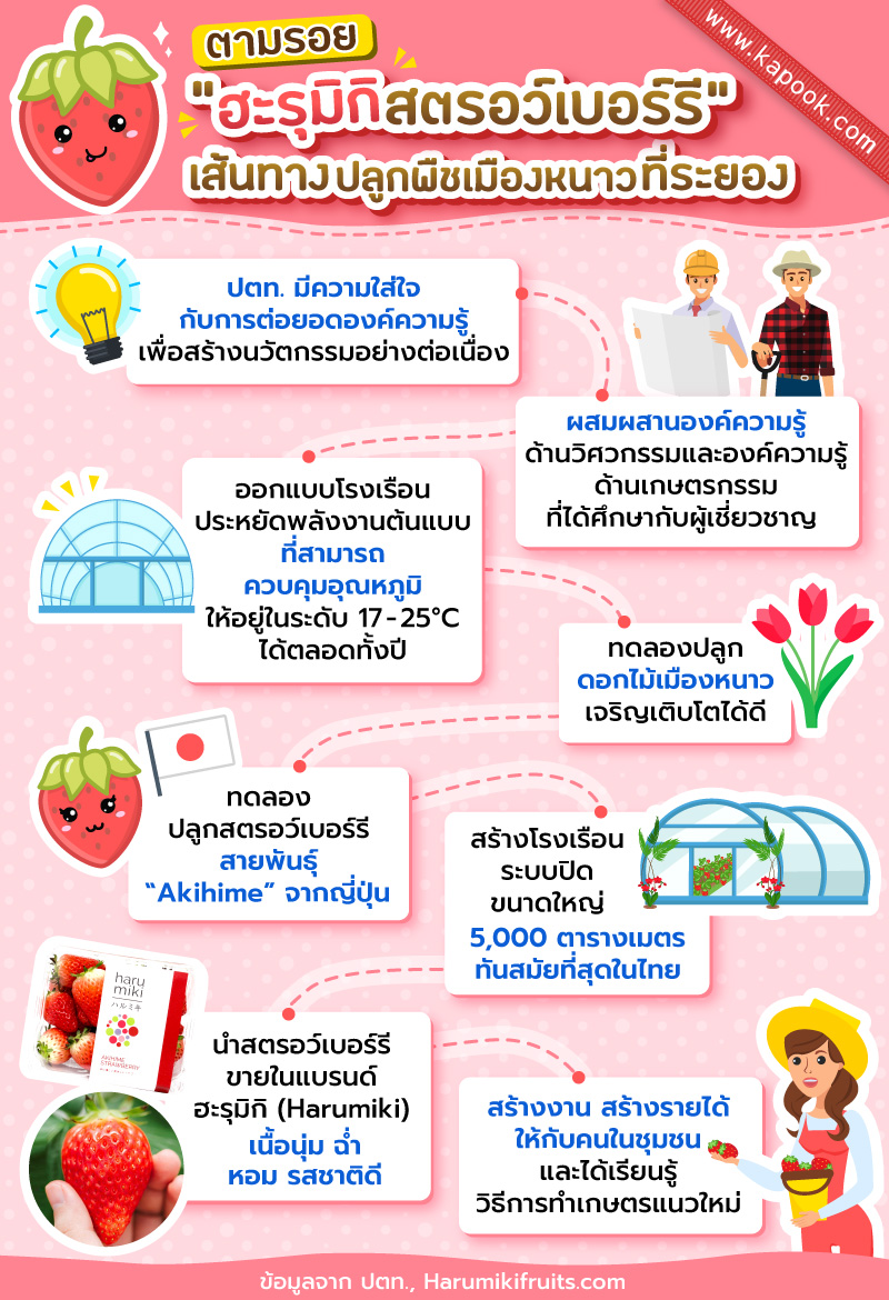 นวัตกรรมการเกษตร ปลูกพืชเมืองหนาว