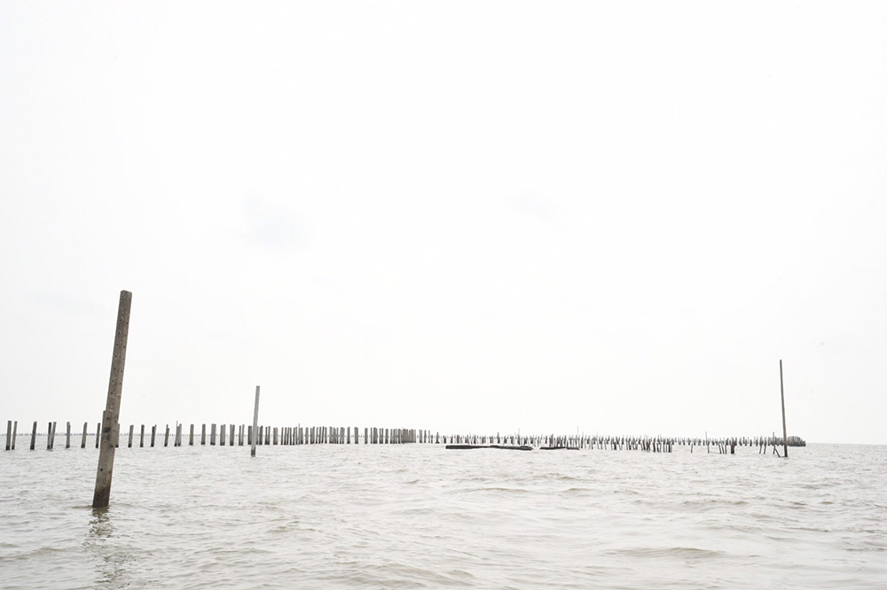 การไฟฟ้านครหลวง