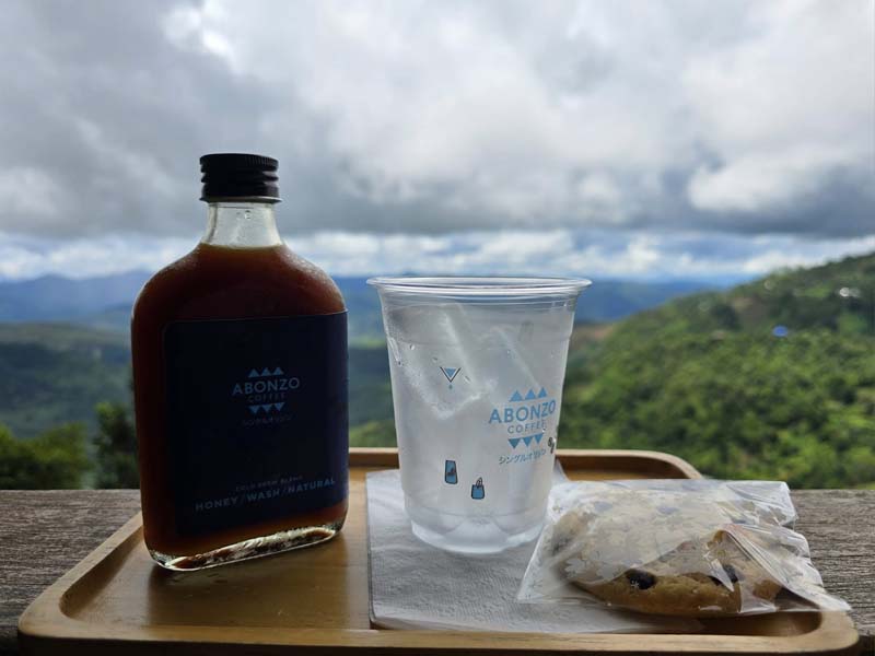 ABONZO Paradise
