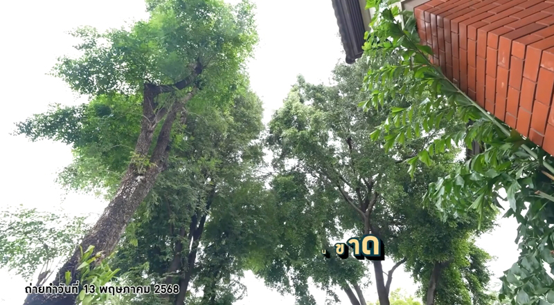 บ้าน เสก โลโซ สวนหน้าบ้าน