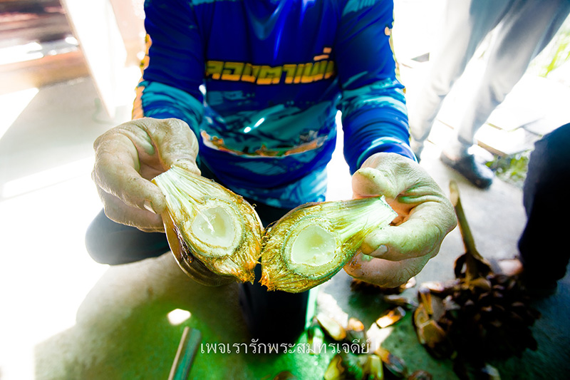 บ้านคลองตาเพิ่ม ลูกจาก