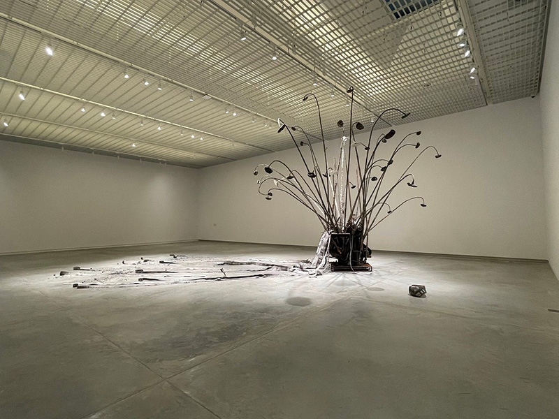 Dib Bangkok ดิบบางกอก