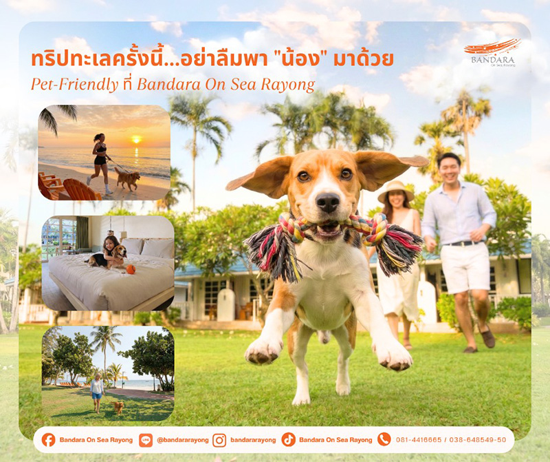 Bandara On Sea Rayong ที่พักติดทะเล สัตว์เลี้ยงเข้าได้