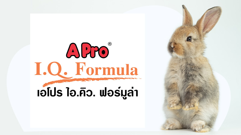 อาหารกระต่าย APro I.Q. Formula