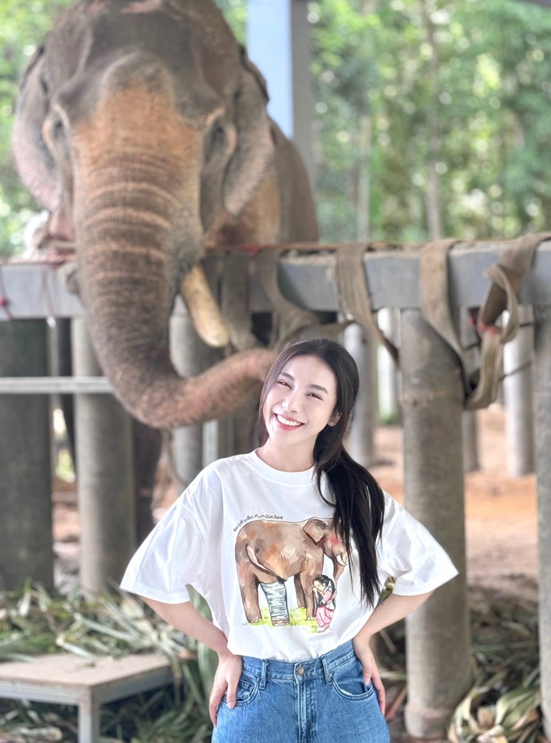หมอโบว์ รักษาช้าง