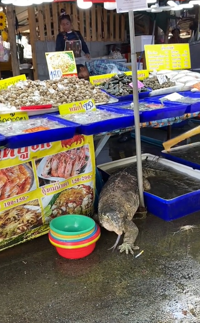 ตัวเงินตัวทอง