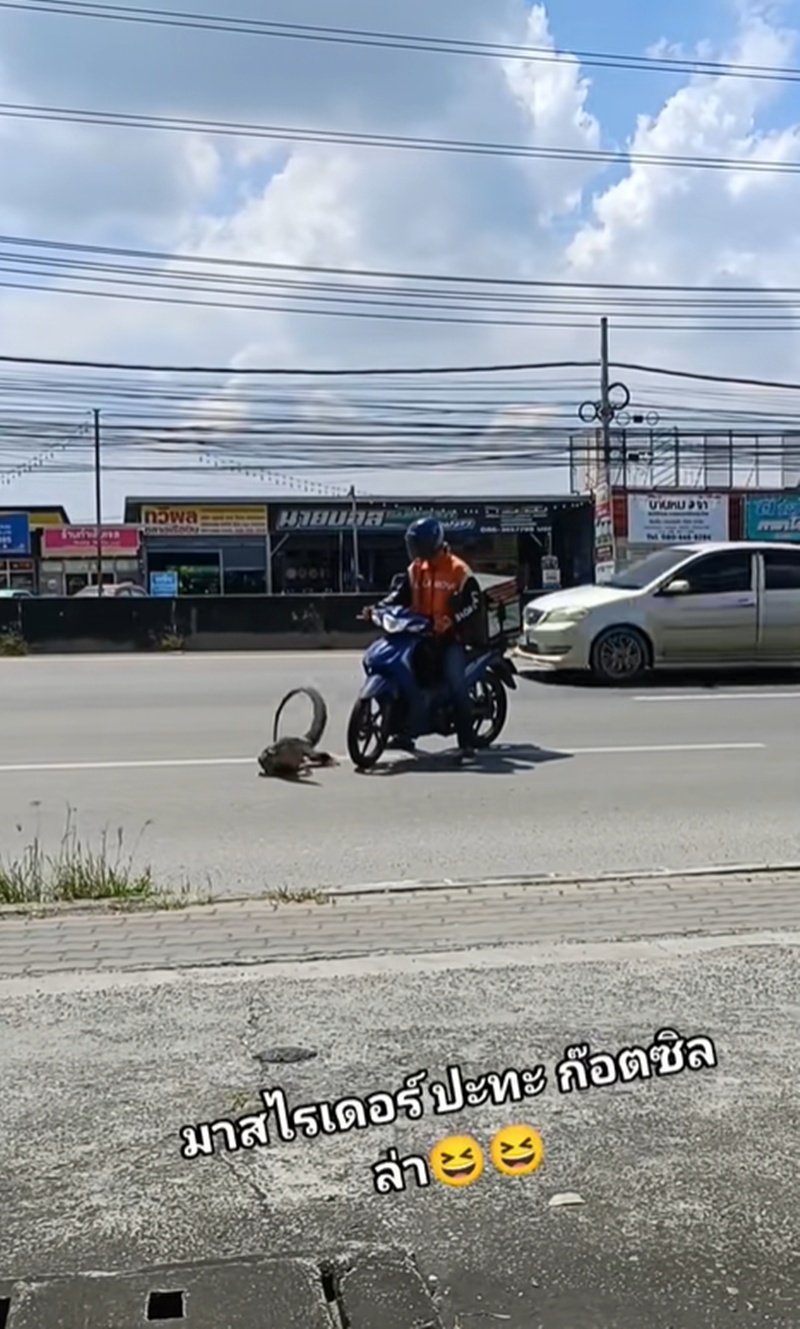 ตัวเงินตัวทอง