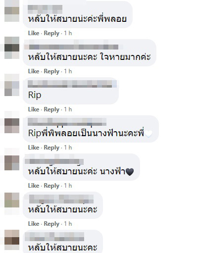 พิพลอย เสียชีวิต