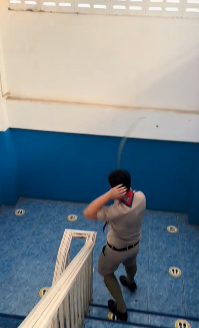 งูเข้าโรงเรียน