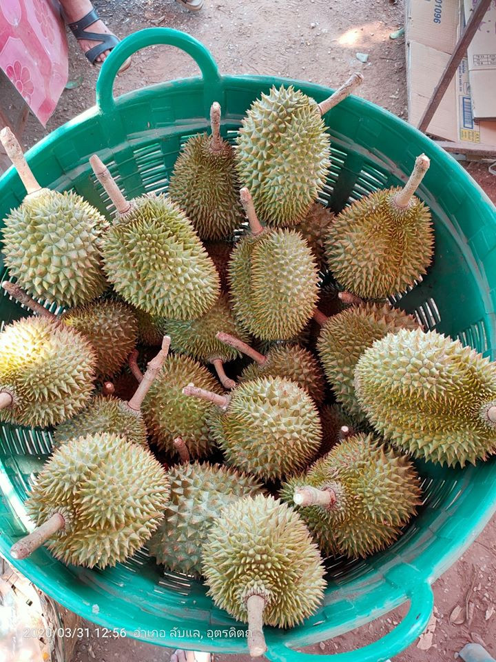 สั่งทุเรียนเดลิเวอรี่