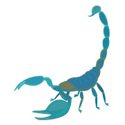 ดูดวงรายสัปดาห์